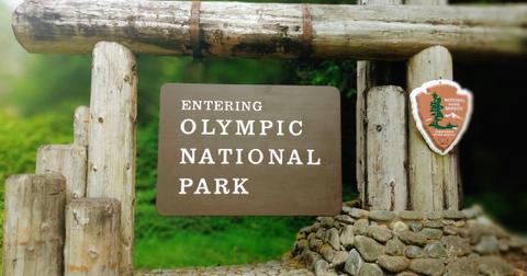 What Is the Best Time to Visit Olympic National Park?