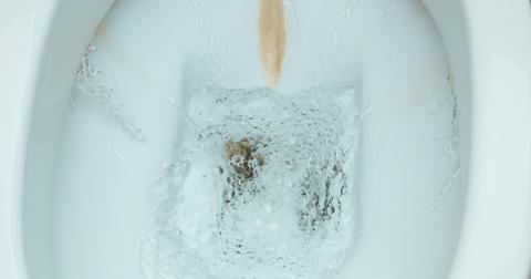 Toilet bowl that needs to be cleaned.