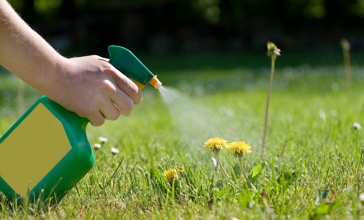 how to get rid of weeds naturally