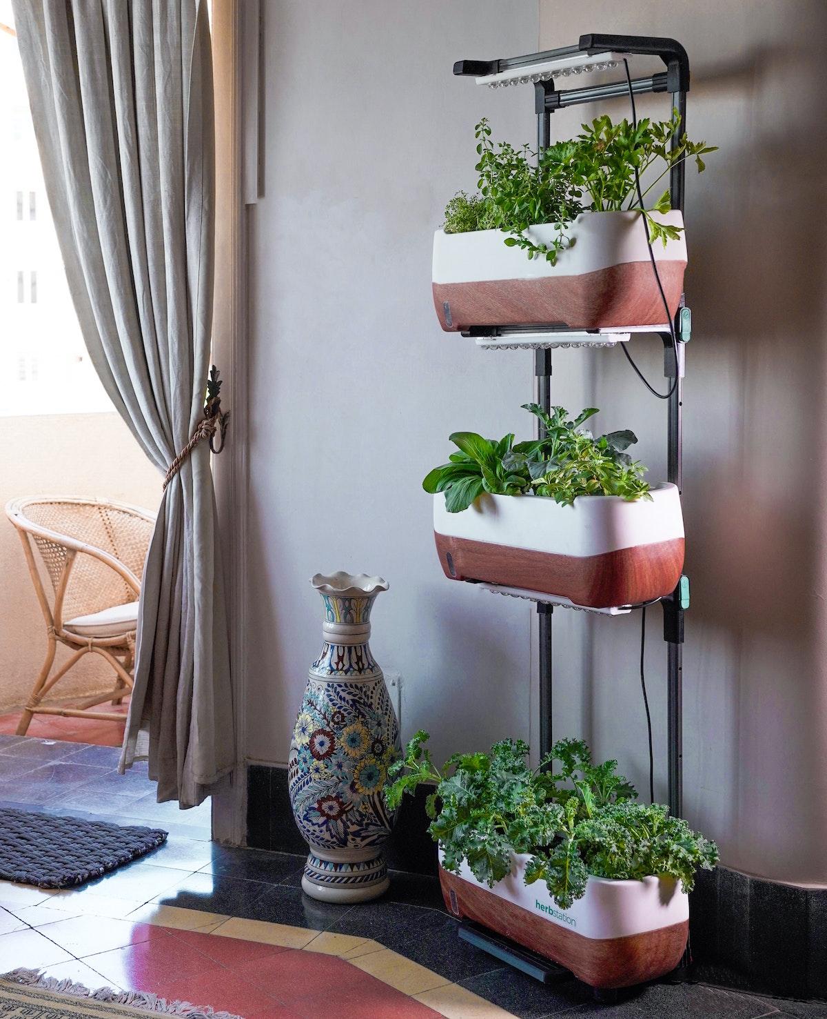 how to make an indoor wall garden