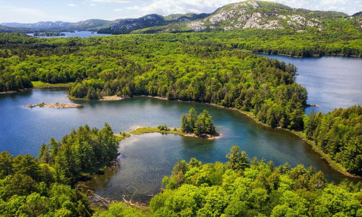 pn/fbfe aa b b fadeeb