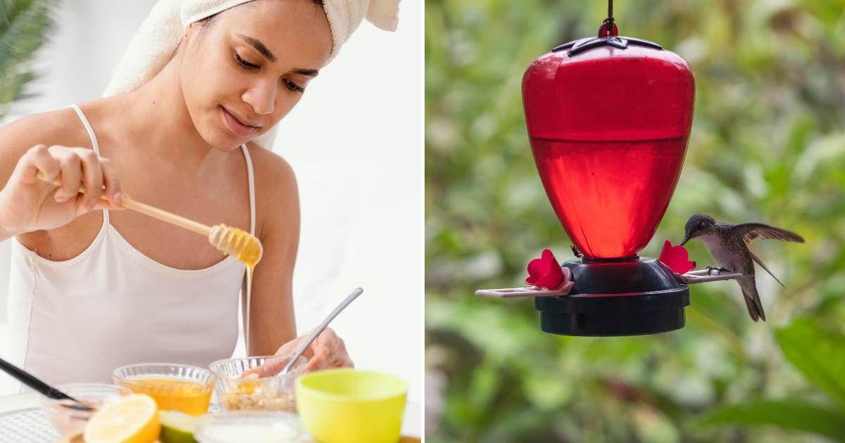(L) A woman adding honey to a bowl. (R) A hummingbird drinking nectar from a feeder. (Representative Cover Image Source: Freepik | (L) freepik, (R) Wirestock)