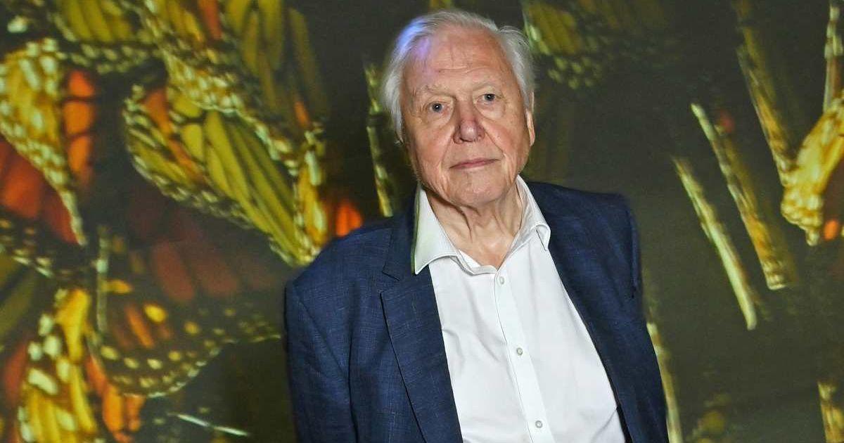 Sir David Attenborough attends the Global Launch of BBC Studios' "Planet Earth III" at Frameless on October 12, 2023 in London, England. (Cover Image Source: Getty Images | Photo by Dave Benett)