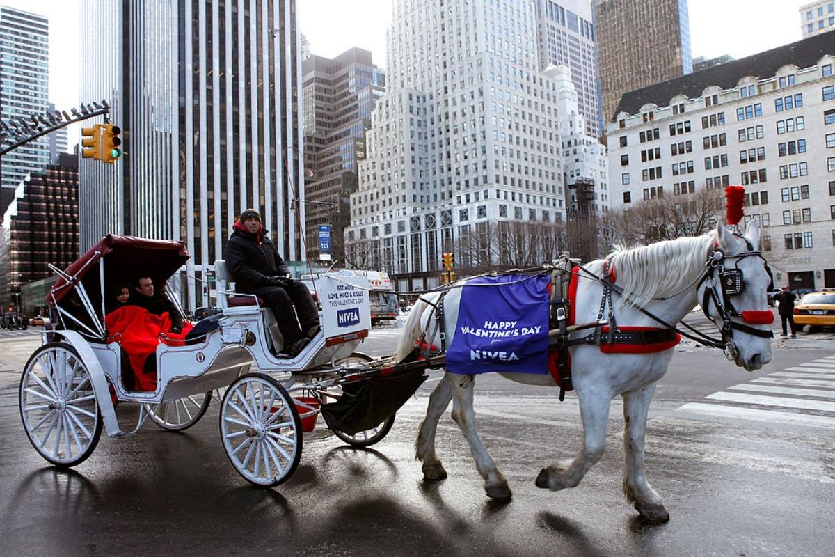 white carriage and white horse in Manhattan