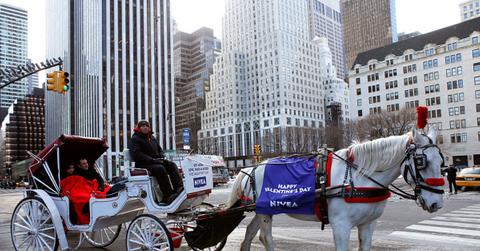 white carriage and white horse in Manhattan