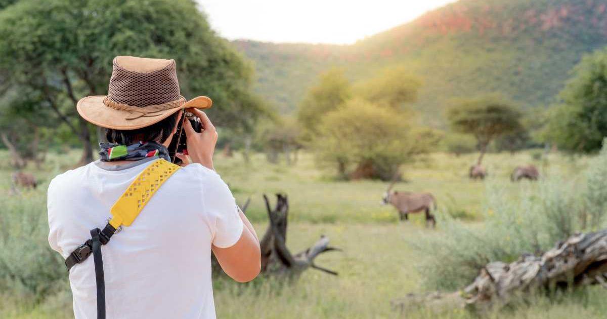 A wildlife photographer captures pictures of wild animals in Africa. (Representative Cover Image Source: Getty Images | Zephyr18)