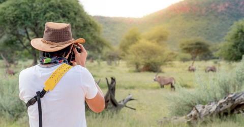 A wildlife photographer captures pictures of wild animals in Africa. (Representative Cover Image Source: Getty Images | Zephyr18)