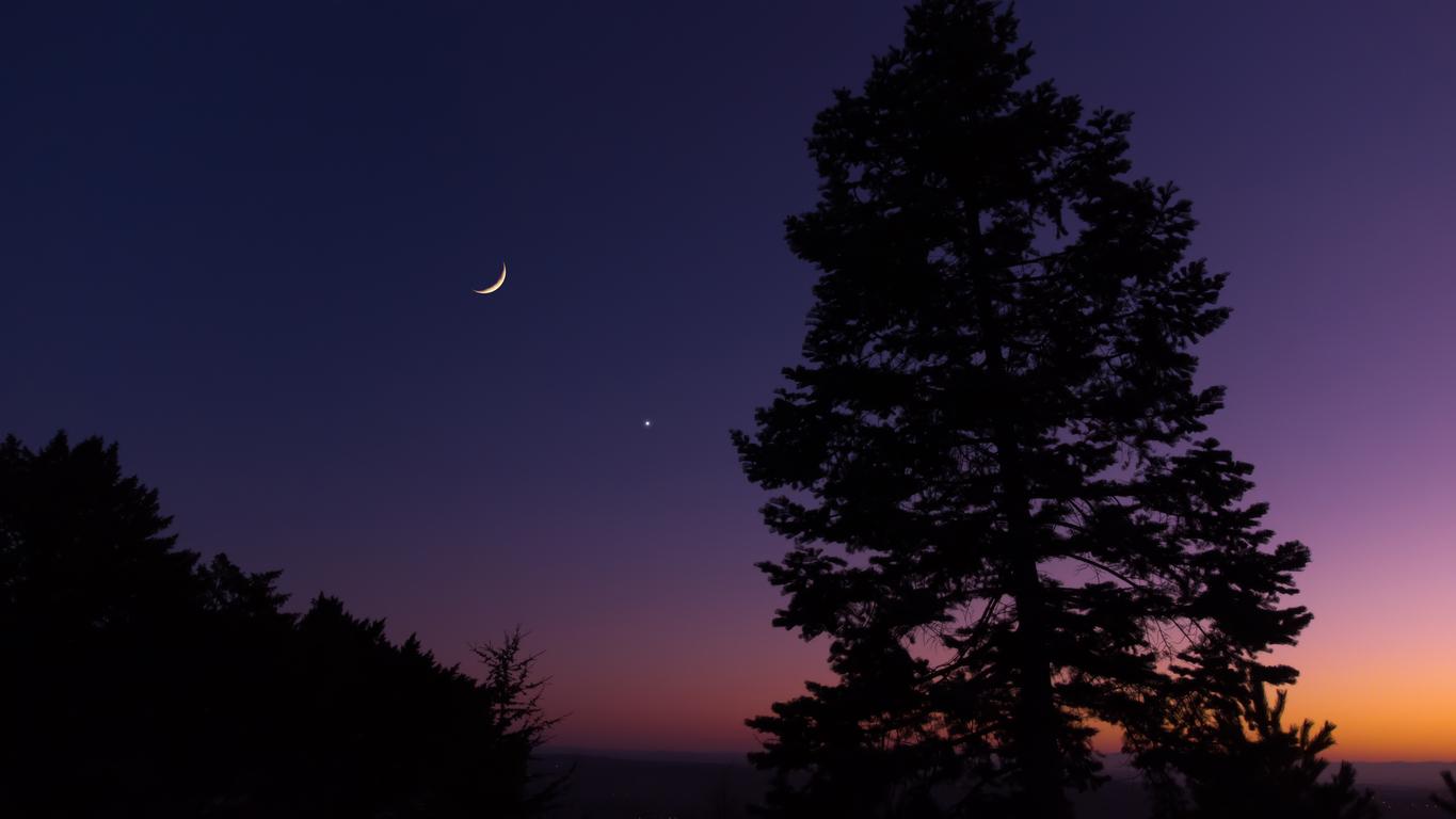 A crescent moon appears in the night sky with trees in the foreground.