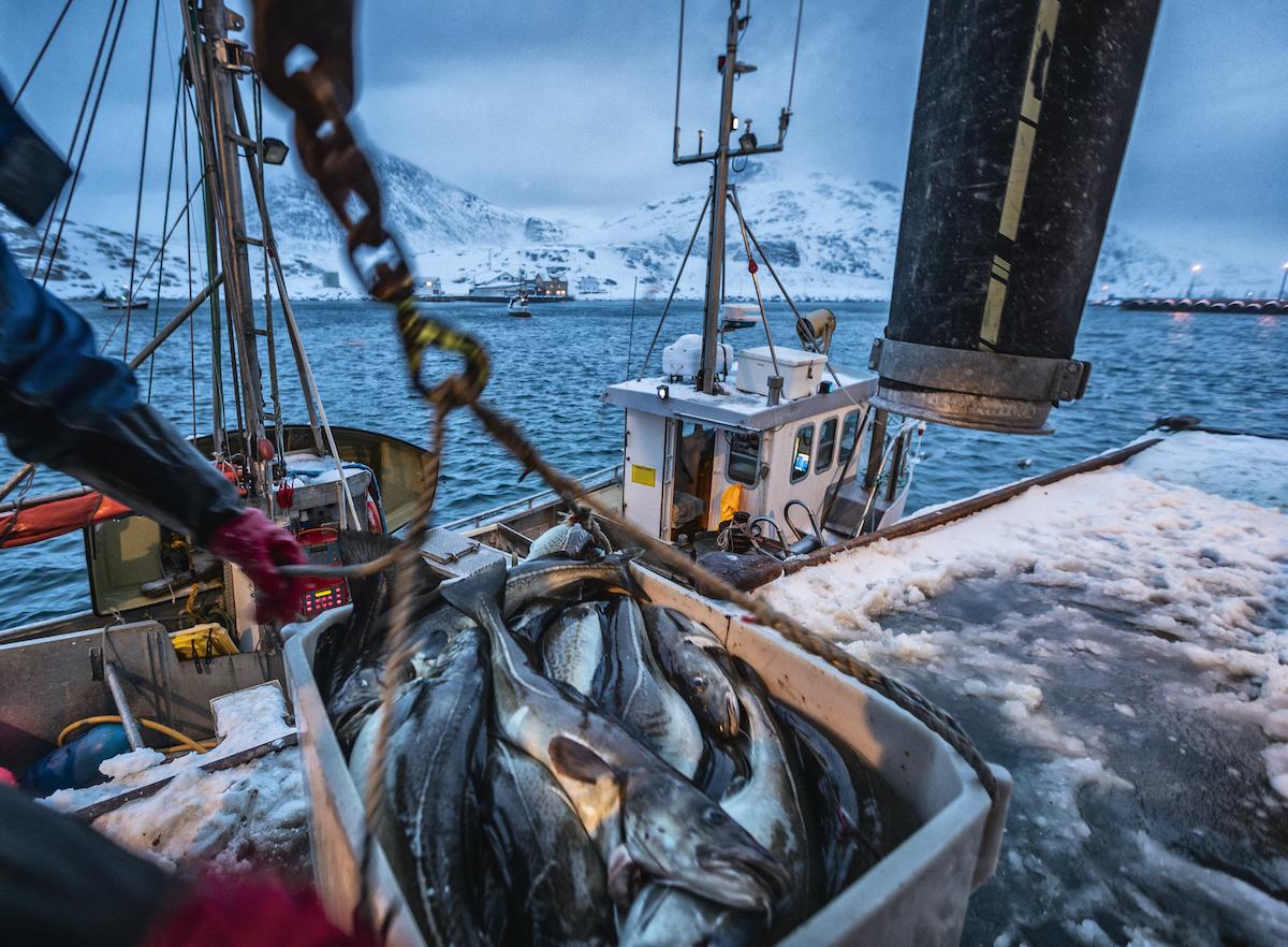 Commercial Fishing Industry