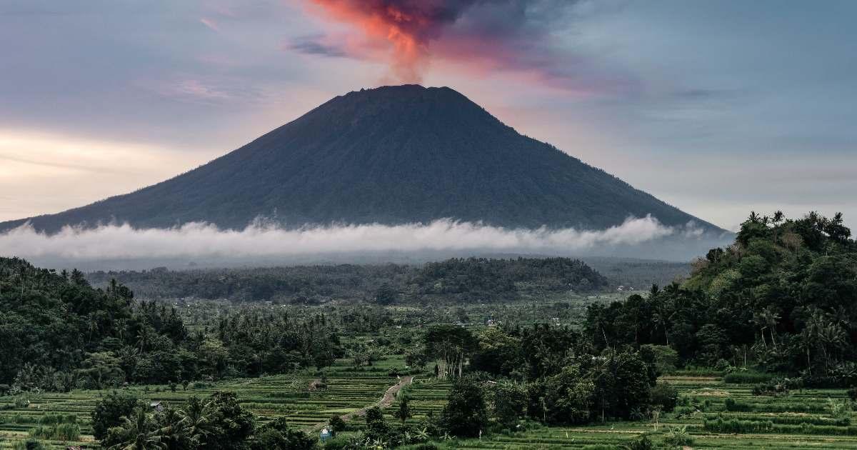 pn/badb d cd  bdccccd