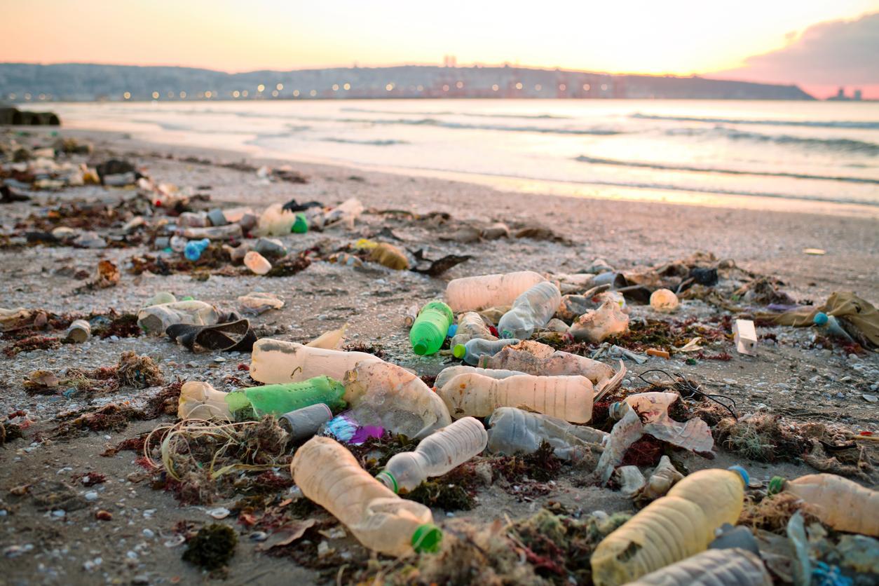 Plastic bottles and other types of pollution washed ashore.