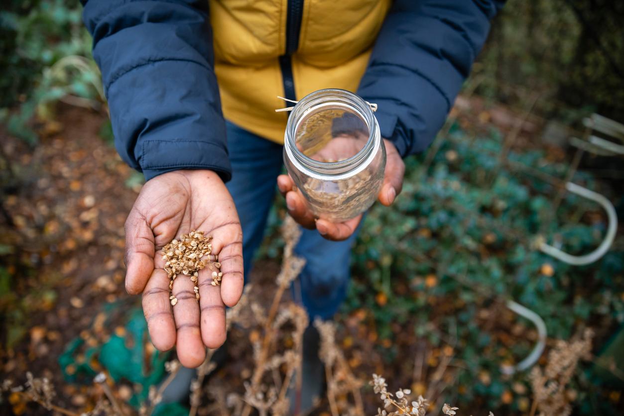 Person holding seeds in one hand and a jar in the other