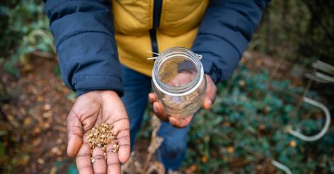 Person holding seeds in one hand and a jar in the other