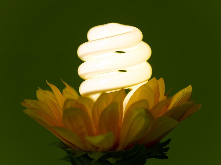 LED Bulb