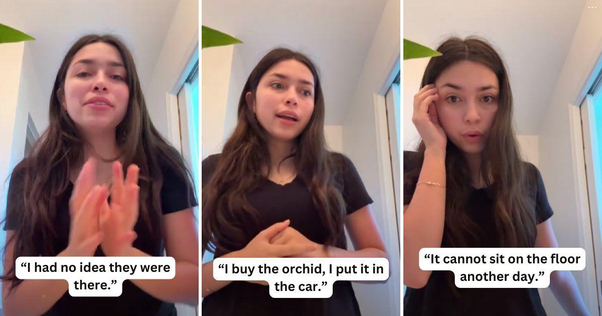 Woman opens up about mistake buying a houseplant. (Cover Image Source: TikTok | @sierrakamel)