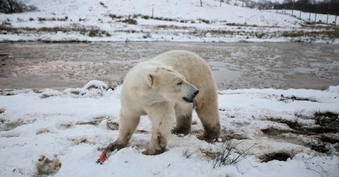 Why climate change is not important