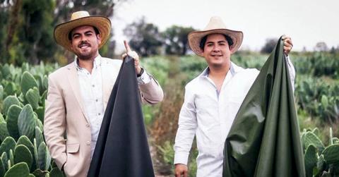 cactus leather boxing gloves