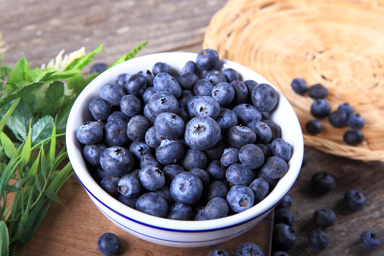 A white bowl of blueberries appears pictured next to a group of plants and loose blueberries on a wooden table.