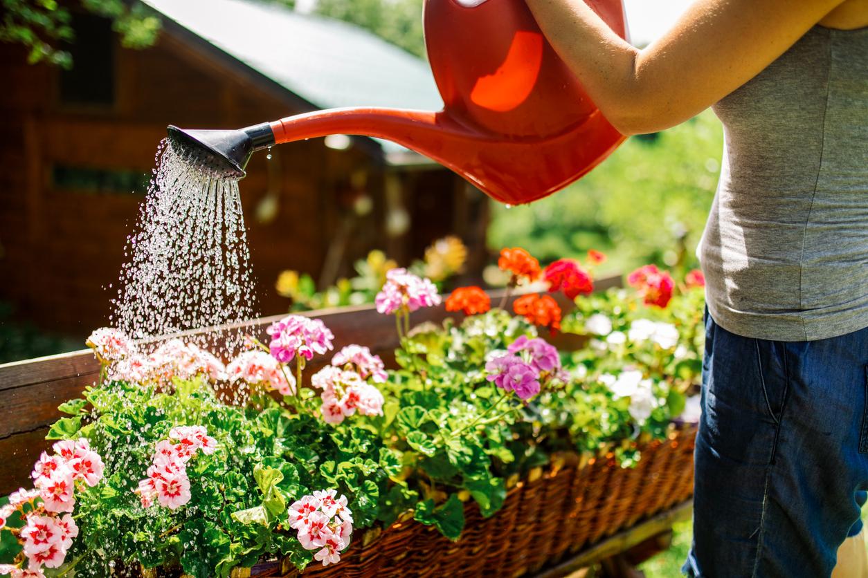 Watering Flowers