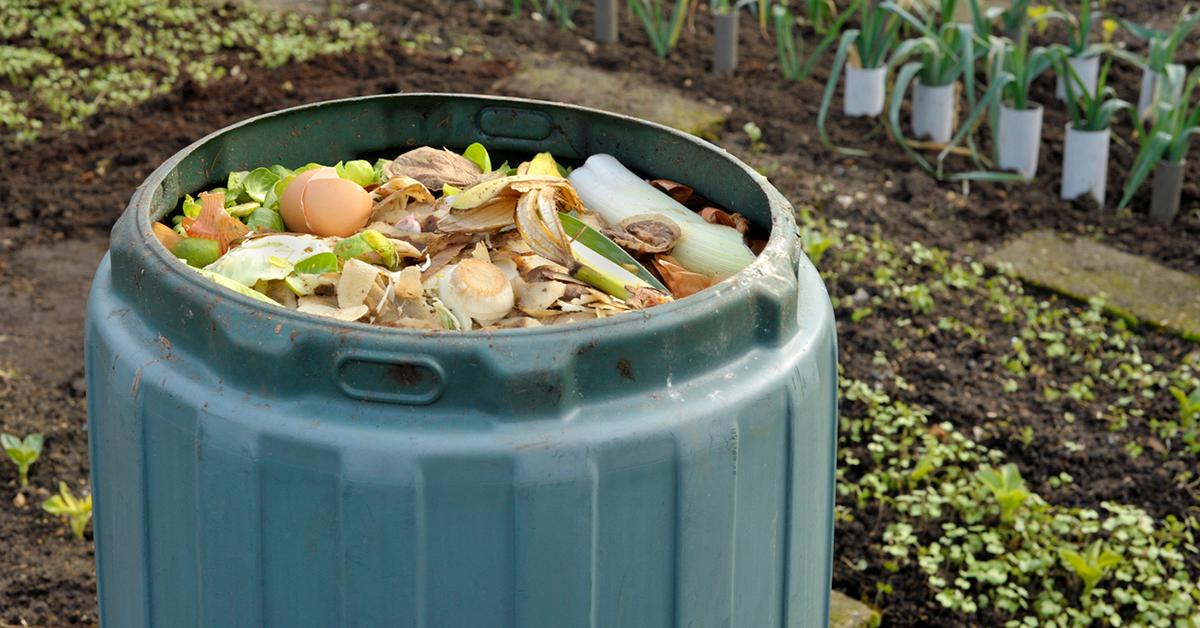 how to start your home compost