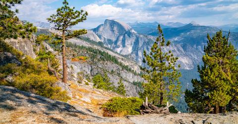 Trees, mountains, and brush located along the vast landscape of Yosemite National Park