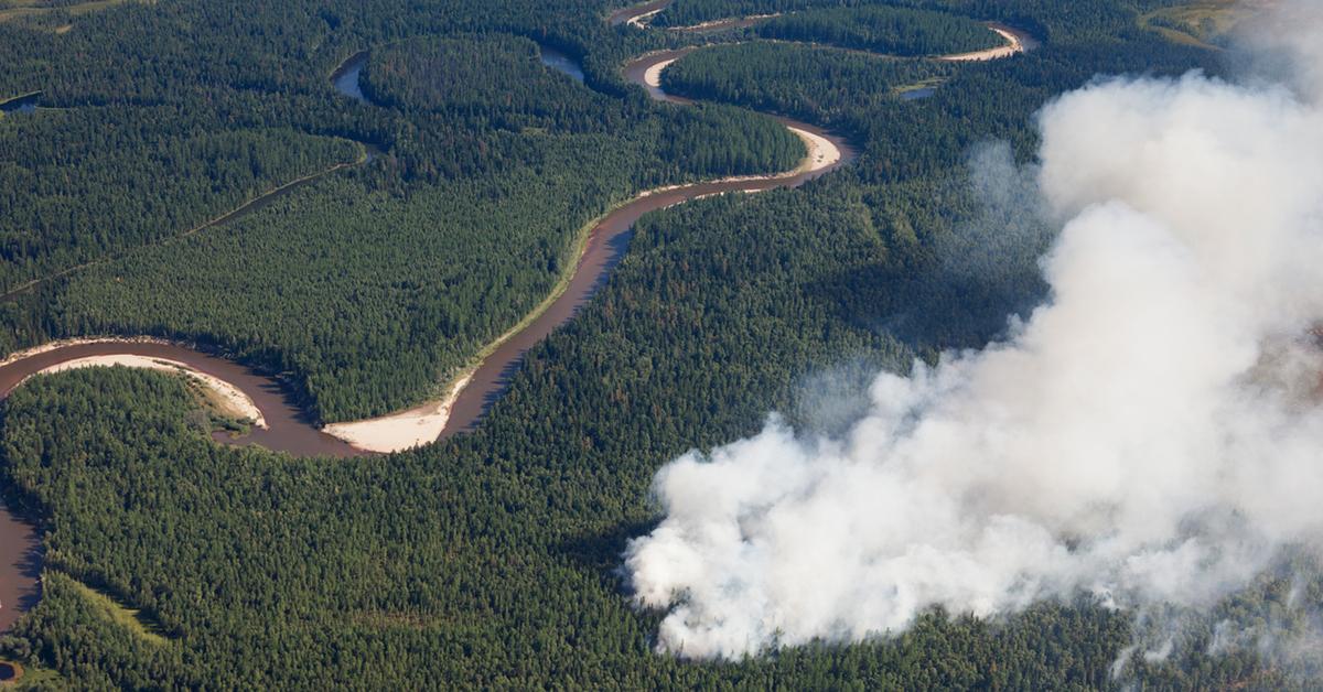 siberia wildfires