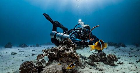 Life explodes in an underwater reef as colorful fish glide and swirl around a coral cluster. (Representative Cover Image Source: Pixabay | Franziska_Stier)