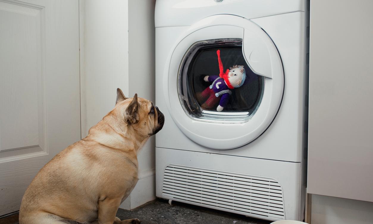 How to Clean Dog Toys A Guide for Pet Parents