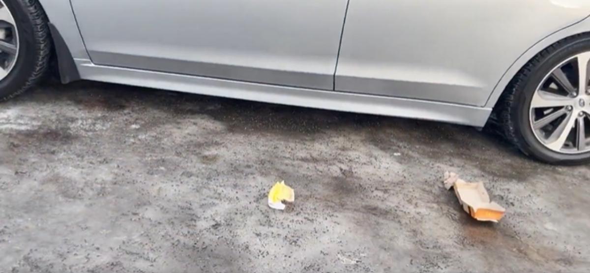 Fast food garbage on the ground outside of car