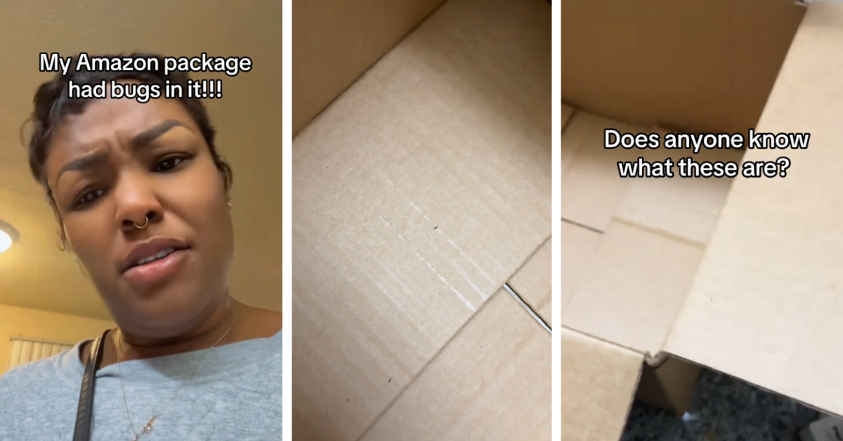 An Amazon shopper shows off the small bugs she found in her box