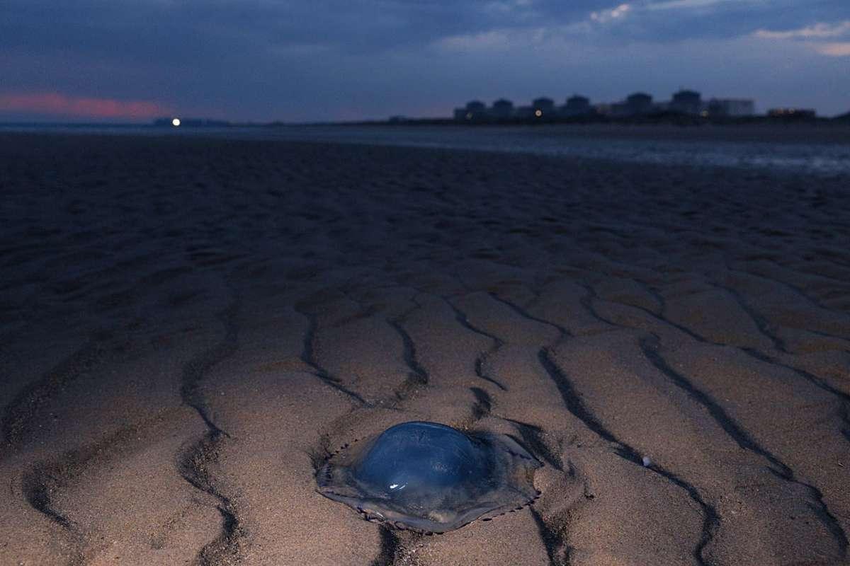 pn/dc ecb d db fbbdb