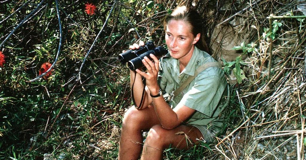 Jane goodall quotes from her brooklyn museum birthday celebration