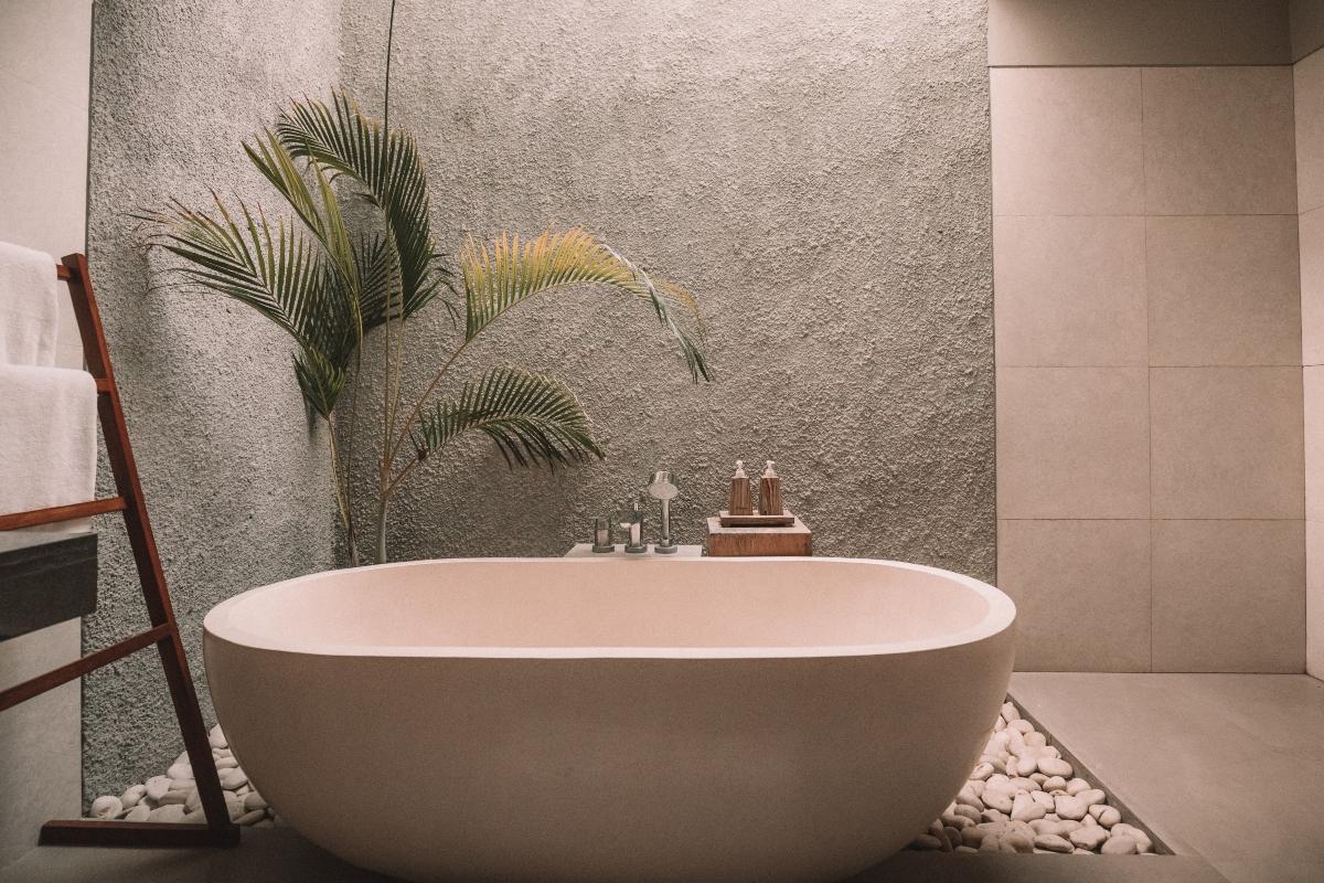 empty bathtub next to fern plant