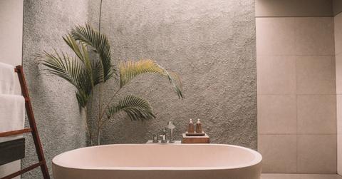 empty bathtub next to fern plant