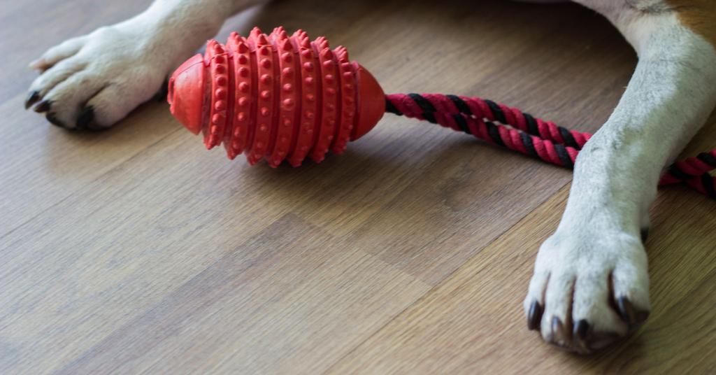 How to Clean Dog Toys A Guide for Pet Parents