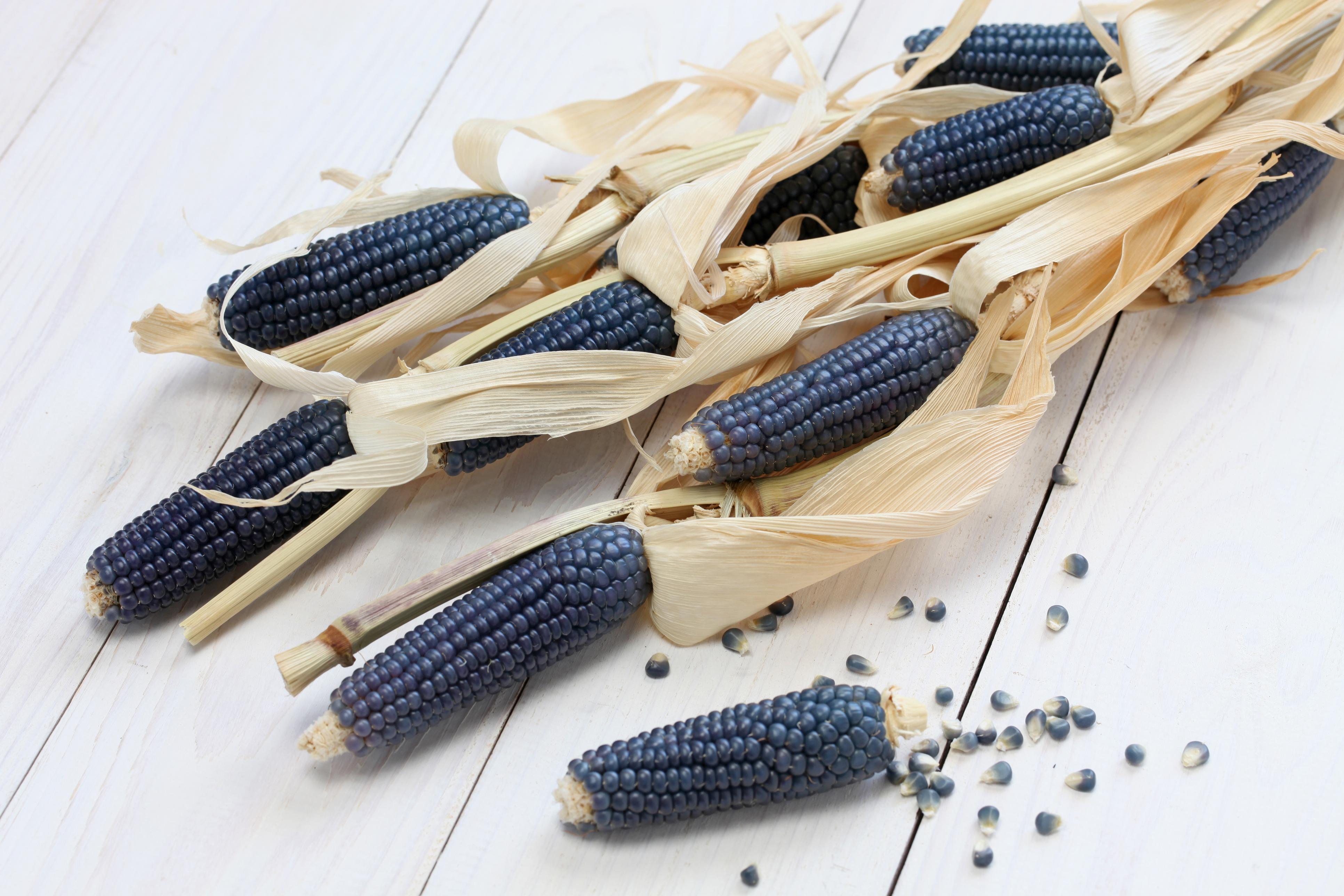 nativecorn