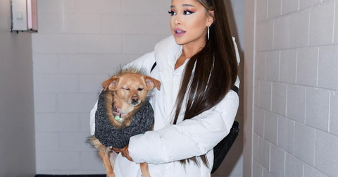 ariana grande animal rescue