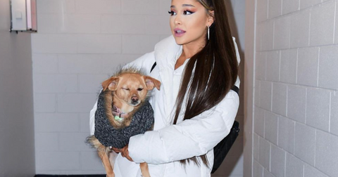 Ariana Grande Opened An Animal Rescue In Los Angeles Details