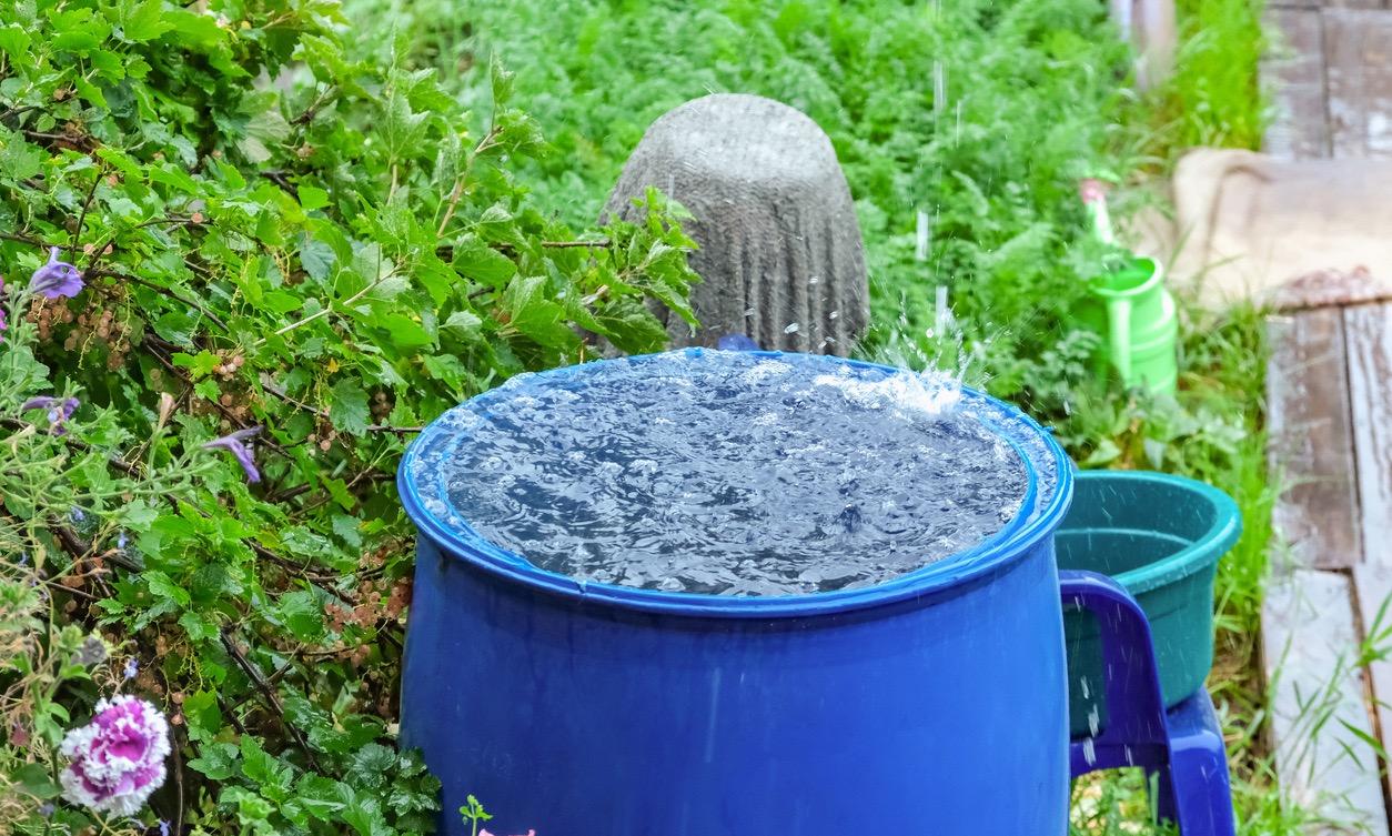 Why Is It Illegal to Collect Rainwater? What to Know