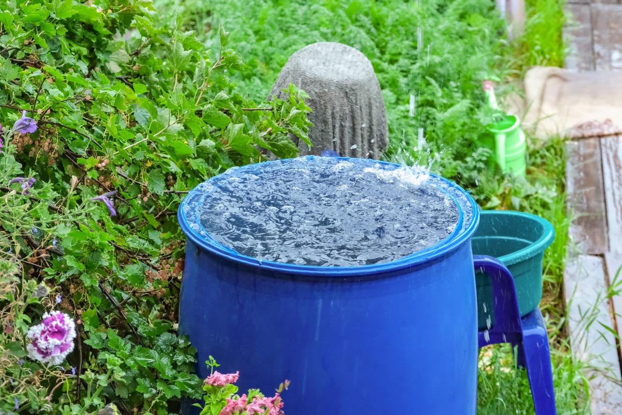 Why Is It Illegal to Collect Rainwater? What to Know