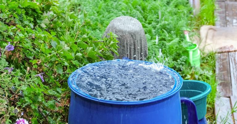 Why Is It Illegal to Collect Rainwater? What to Know