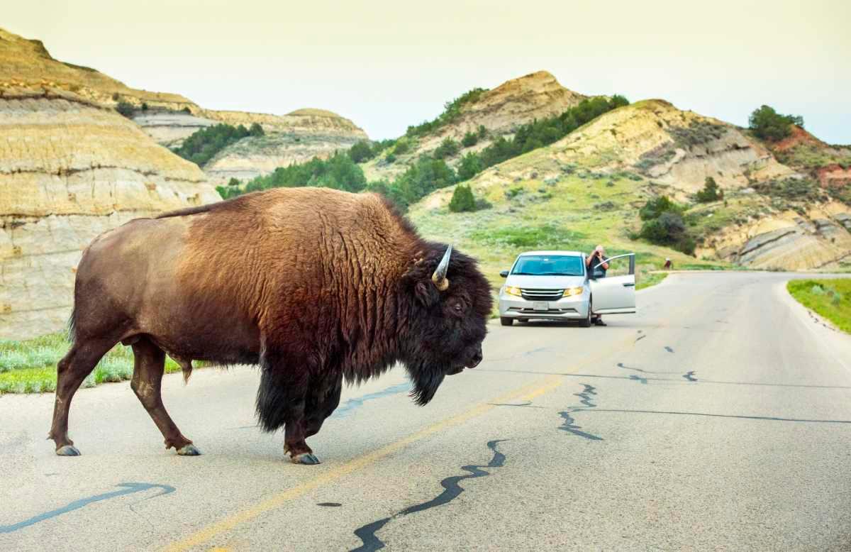 pn/bcd c de ace cabadcf