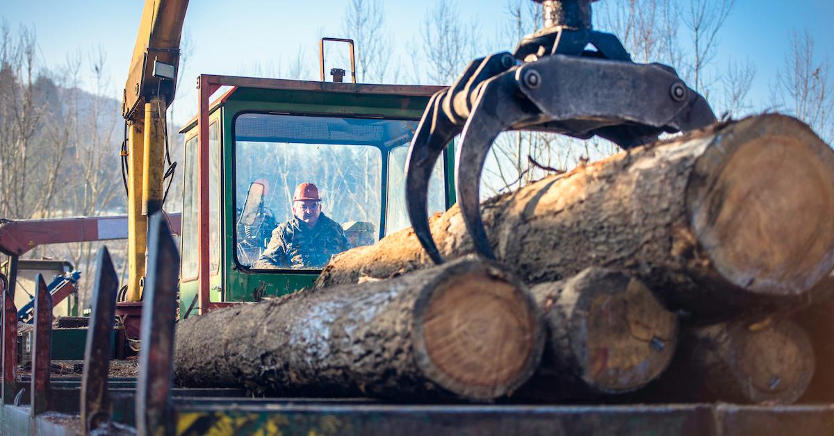 logging danger