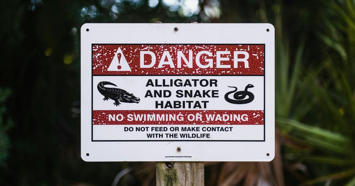 A sign posted in the Florida Everglades warns people away from the wildlife