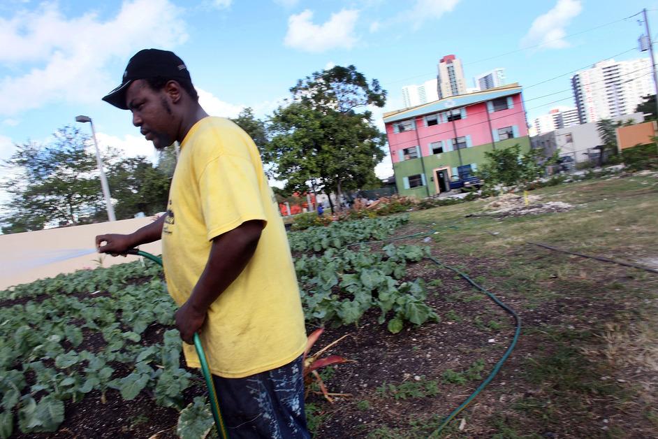 Man gardening in Miami