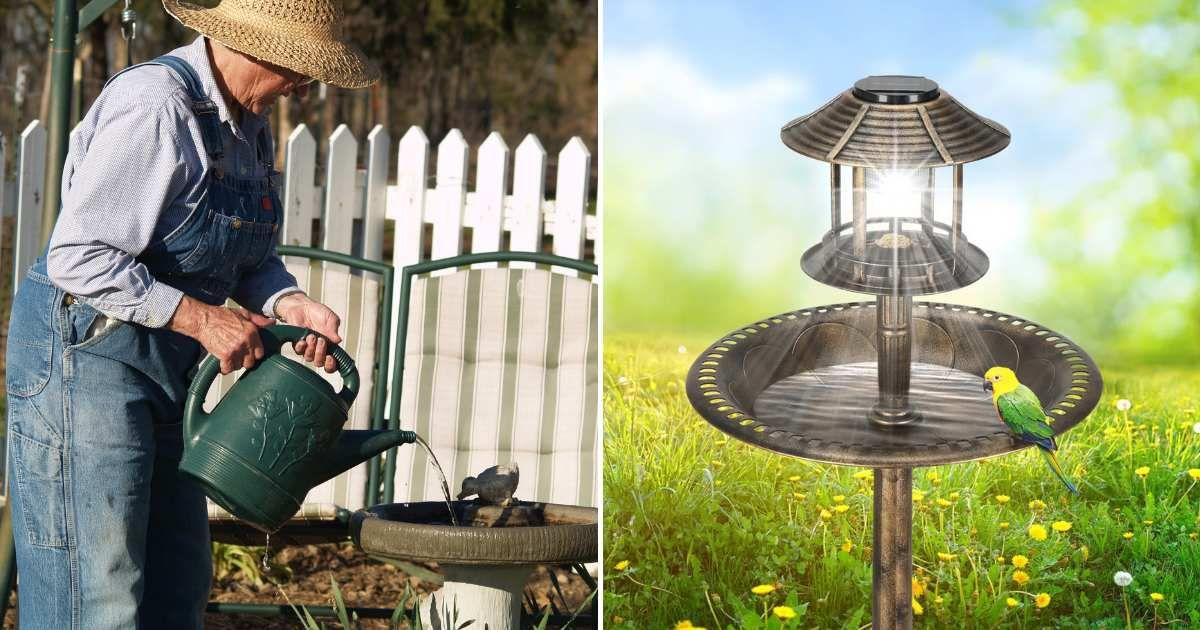 (L) An old woman filling up a bird bath (Representative Cover Image Source: Getty Images | nreighard) | (R) The bird bath by
Laurel Foundry Modern Farmhouse on Wayfair. (Cover Image Source: Wayfair | Hiles Resin Birdbath)