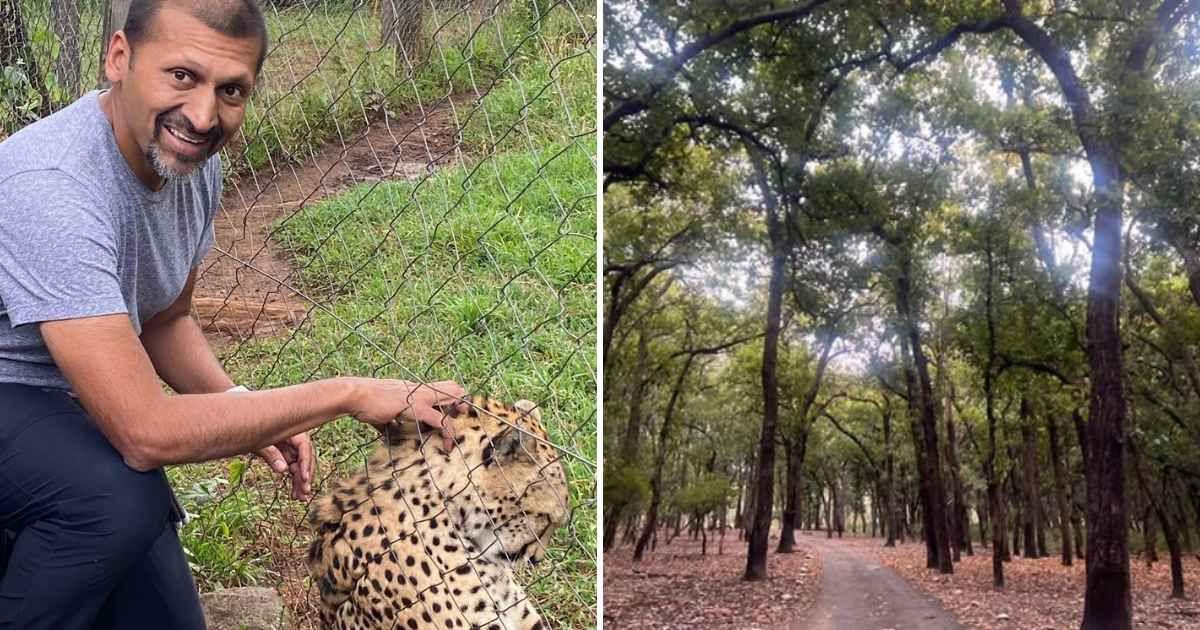(L) Jai Dhar Gupta transformed a barren land into a forest (Cover Image Source: Facebook | @jdgupta1) | (R) Rajaji Raghati Biosphere in Uttarakhand (Cover Image Source: Instagram | @rajai.biosphere)