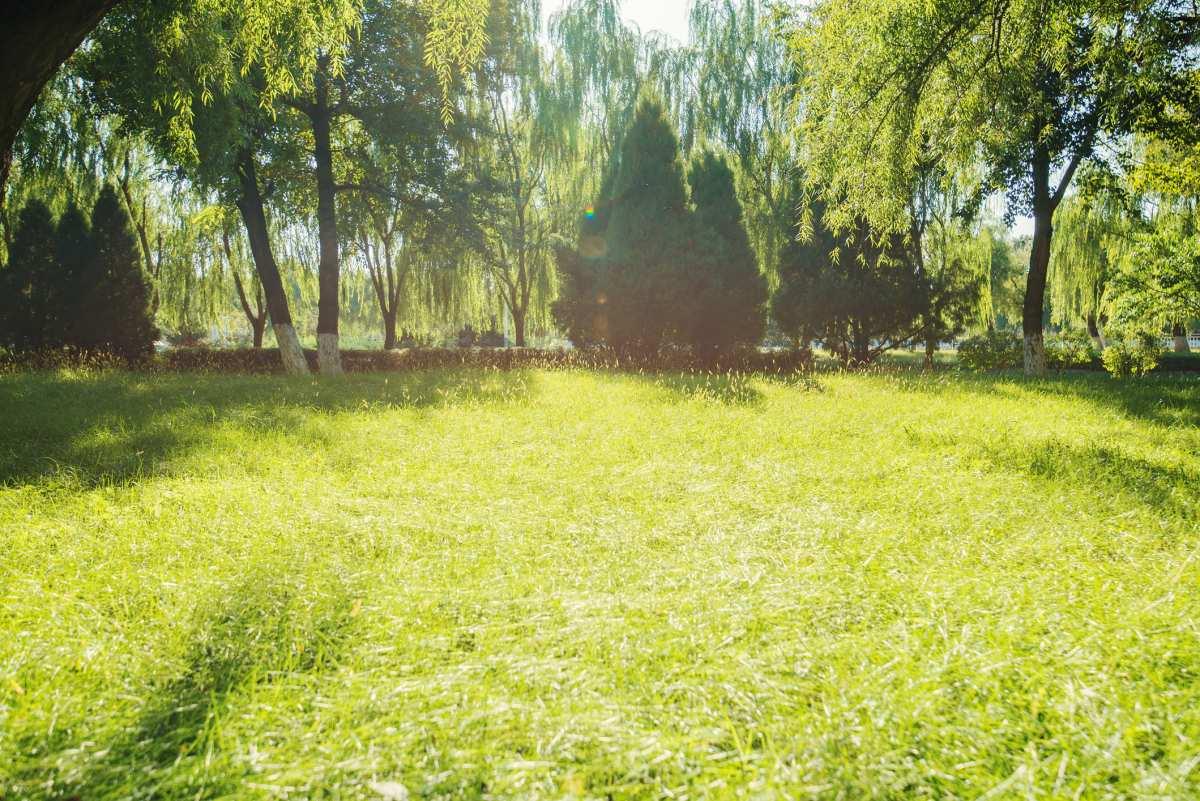 pn/bbfc b d bf eafda