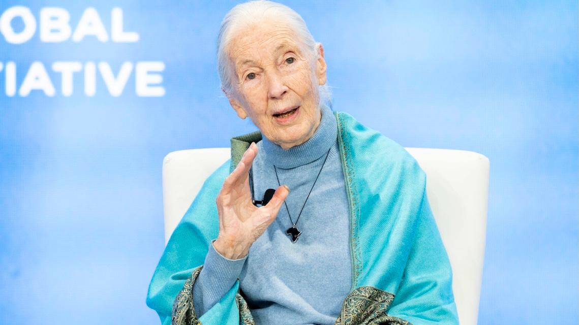 Jane Goodall's Final Interview Says a Lot About Her Life