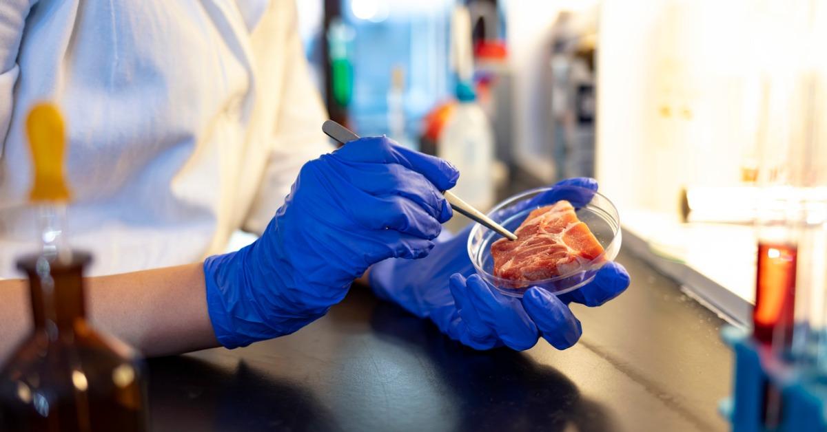 Does NonToxic Mean FoodSafe?